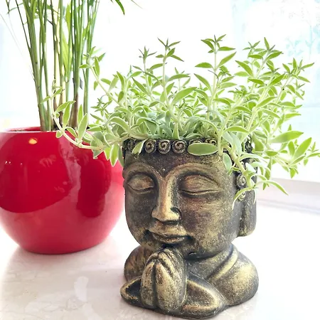 Adagio-linz Poestlingberg